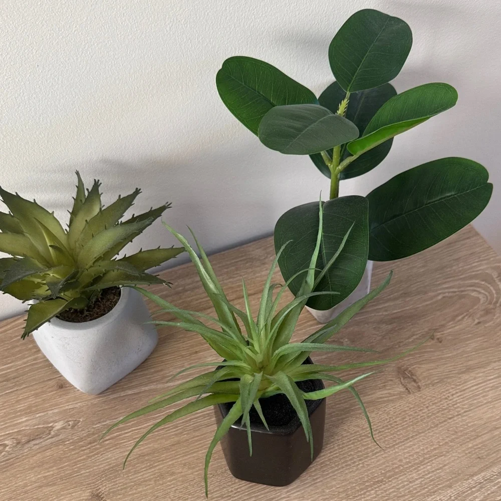 Target Project 62 Faux Plants (set 3)